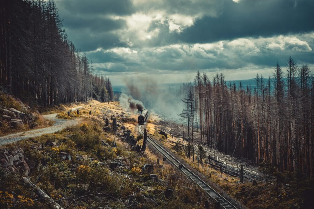 Steam train travels through misty Harz forest, offering a scenic journey amidst dark clouds.